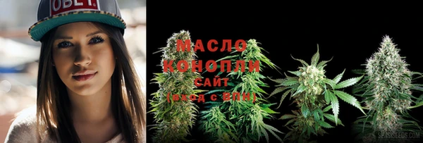 мдпв Протвино