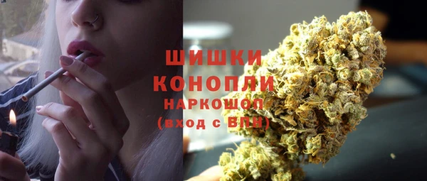 ECSTASY Покачи